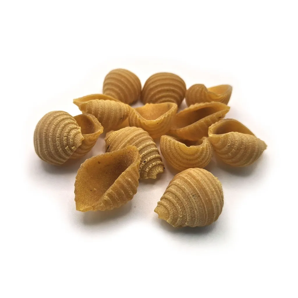 Petxines morunes 1.webp